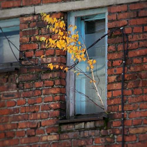 Photo #13538024