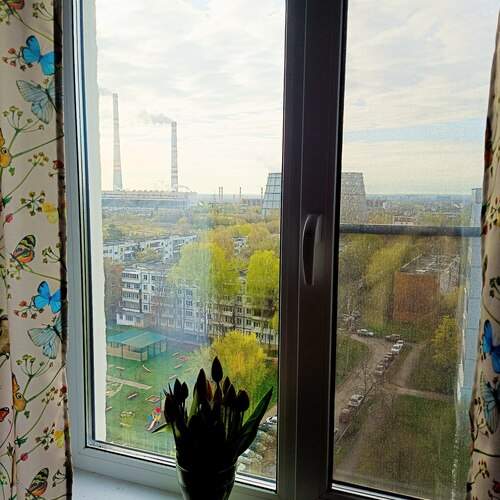 Photo #13538050