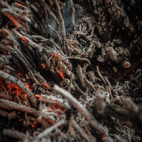 Photo #13538076