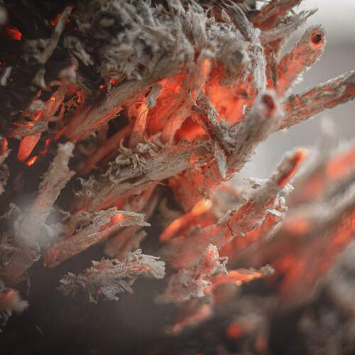 Photo #13538077
