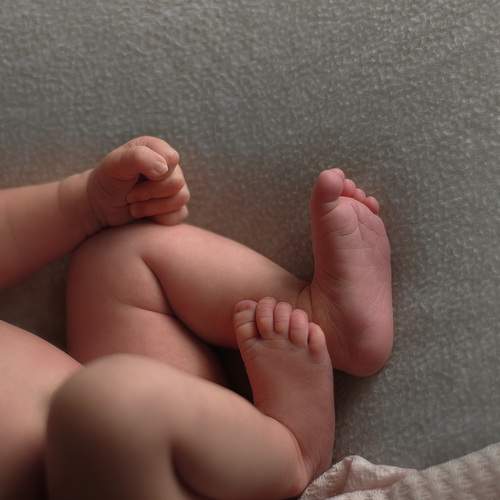 Photo #13538109
