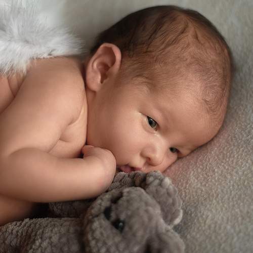 Photo #13538110