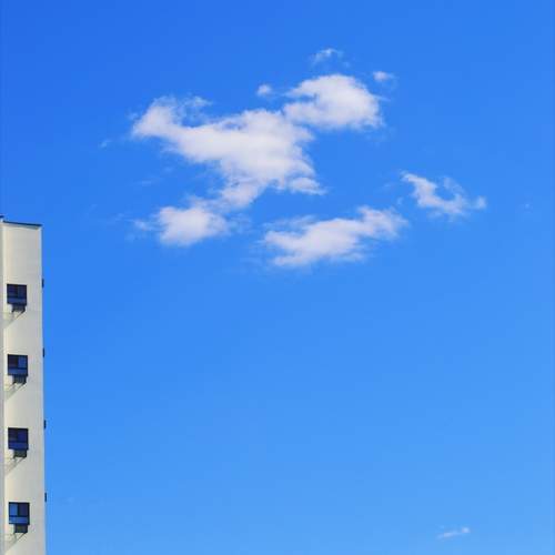 Photo #13538133