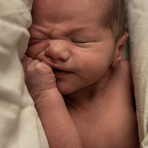 Photo #13538434