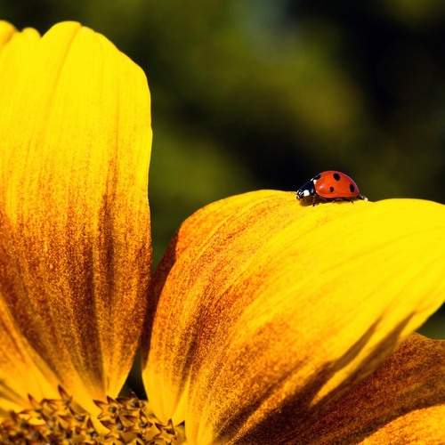 Photo #13538756