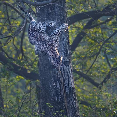 Photo #13538841
