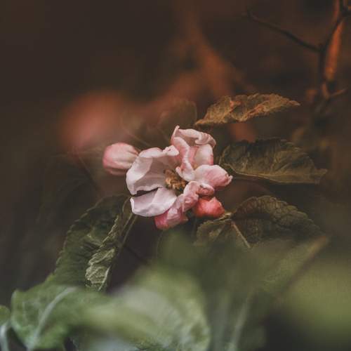 Photo #13538902