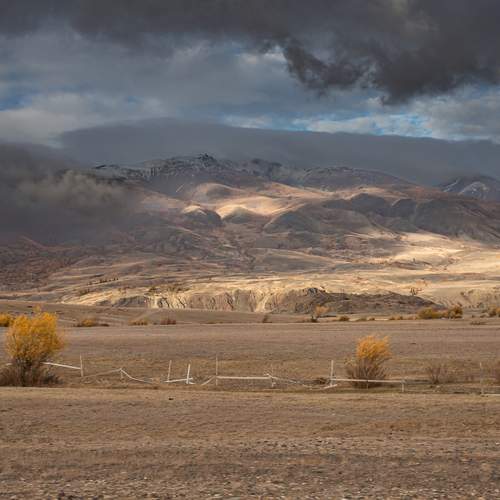 Photo #13538989