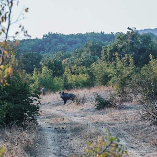 Photo #13539014
