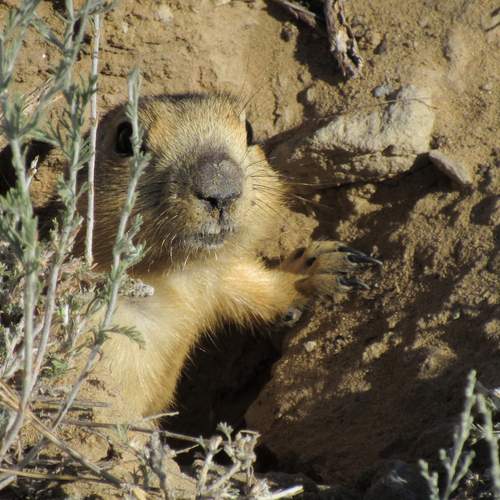 Photo #13539015
