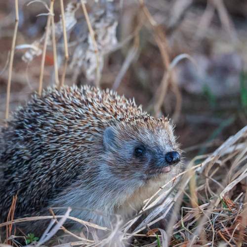 Photo #13539075