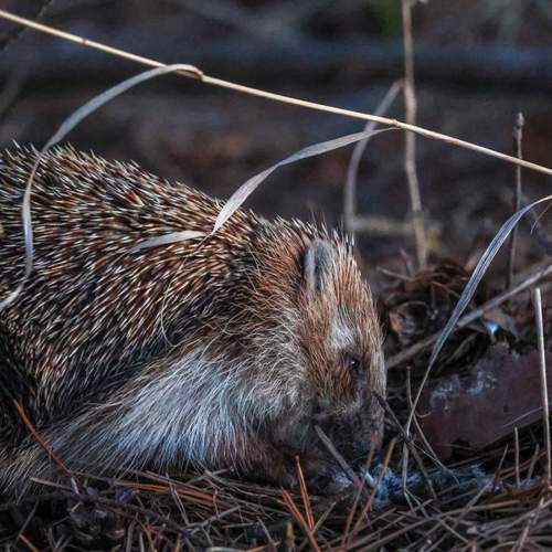 Photo #13539083