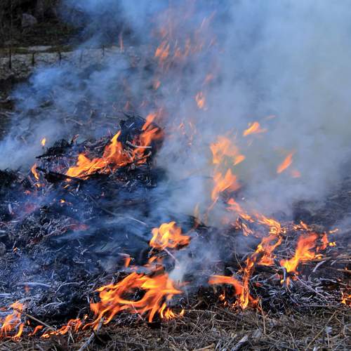 Photo #13539171