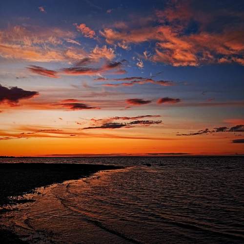 Photo #13539200