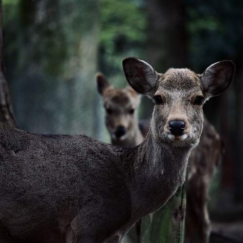 Photo #13539433