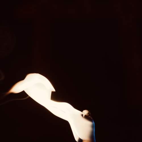 Photo #13539441