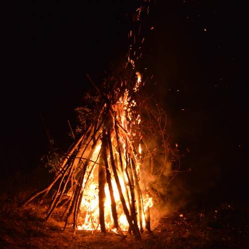 Photo #13539552