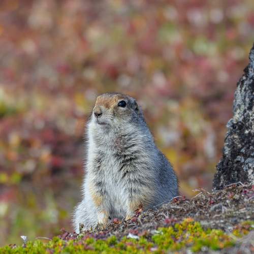 Photo #13539656