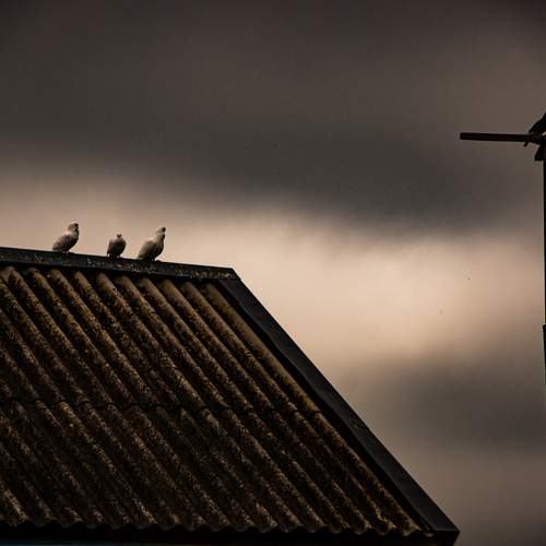 Photo #13539747