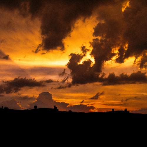 Photo #13539777