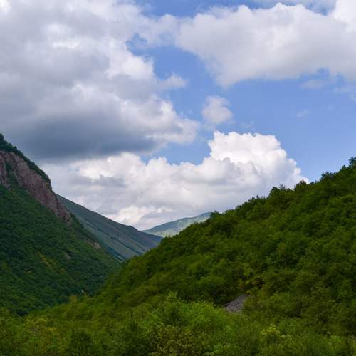 Photo #13539948