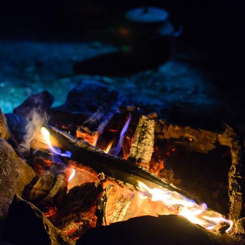 Photo #13539989