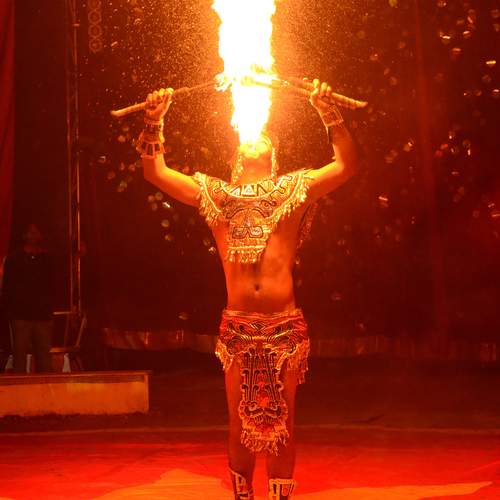 Photo #13540262