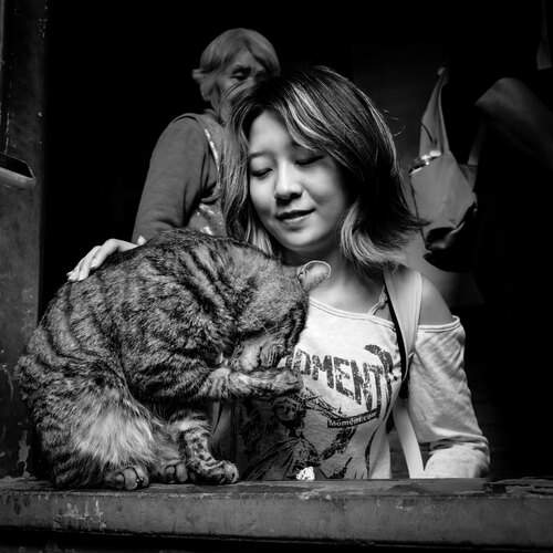 Girl and cat