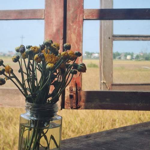Photo #13540267