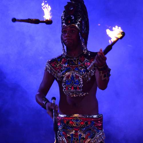 Photo #13540268