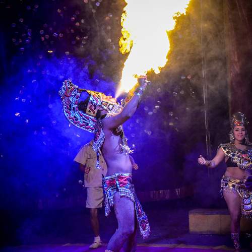 Photo #13540282