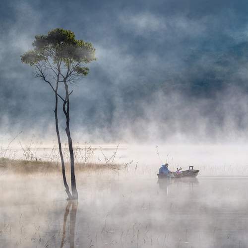 TRUNG TRUONG