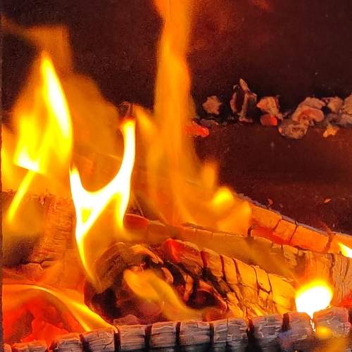 Photo #13540454