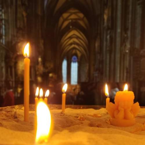 Photo #13540457