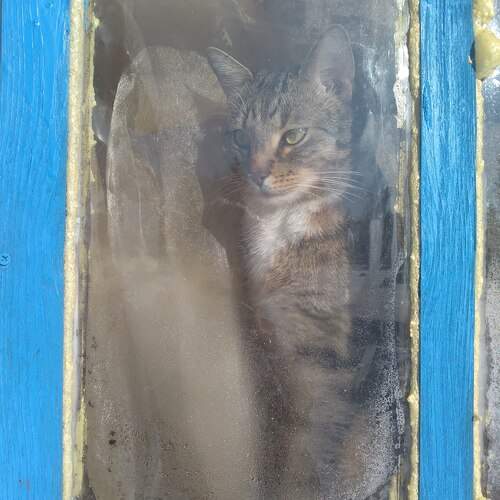 Photo #13540531