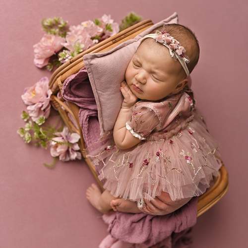 Photo #13540649