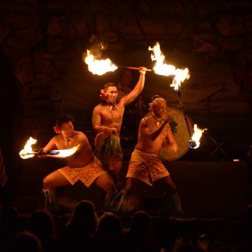 Photo #13540766