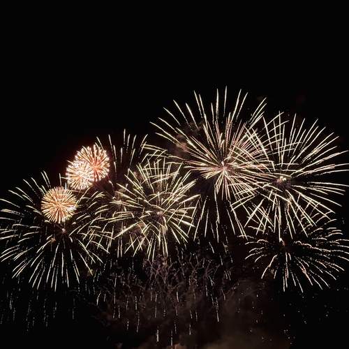 Photo #13540800