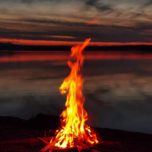 Photo #13540887