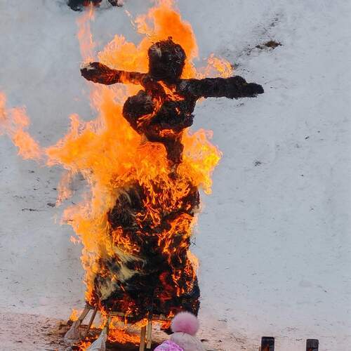 Photo #13540888