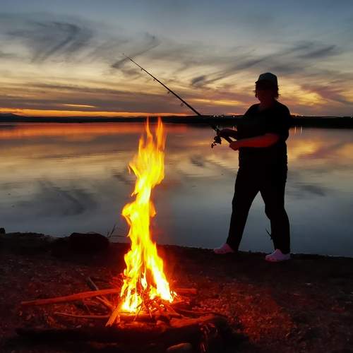 Photo #13540904