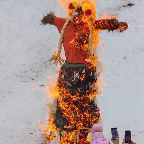Photo #13540905