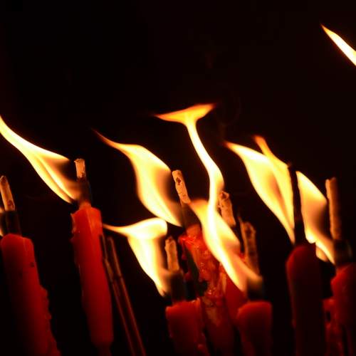 Photo #13541248