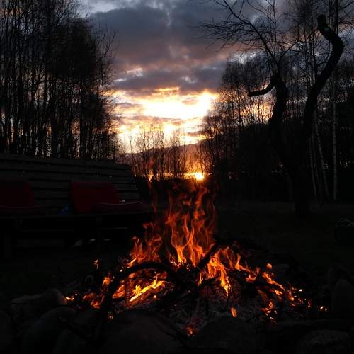 Photo #13541316