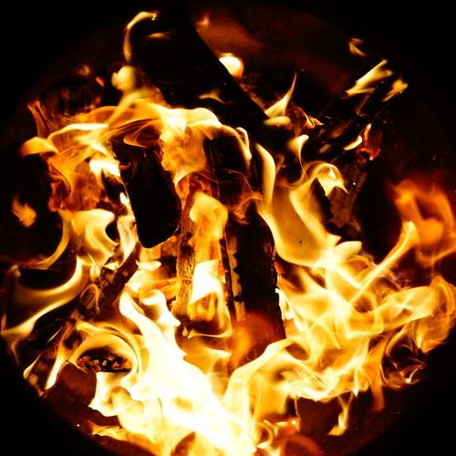 Photo #13541332