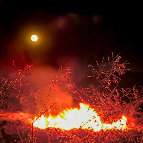 Photo #13541336