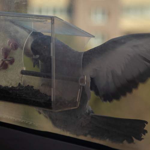 Photo #13541399