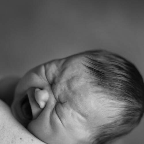 Photo #13541411