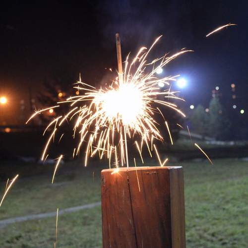 Photo #13541466