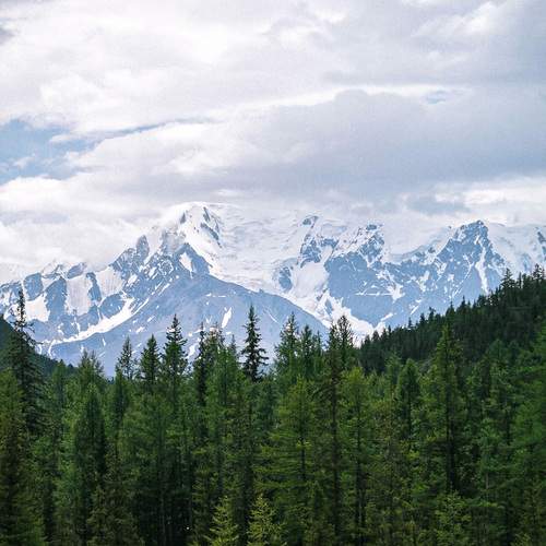 Photo #13541493